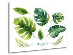 Πίνακες σε καμβά με κείμενο Tropical set