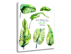 Πίνακες σε καμβά με κείμενο Palm tropical leaves