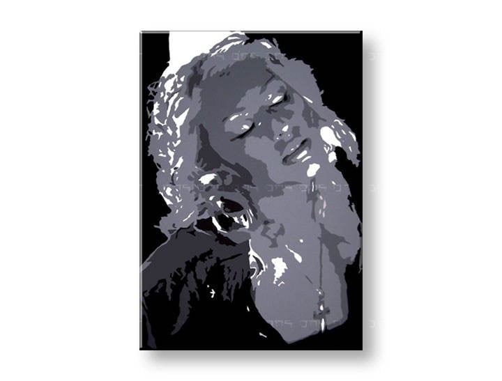 Χειροποιητοι πινακες σε καμβα POP Art Christina Aguilera σε 1 κομματι