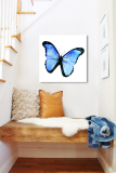 Πίνακας σε καθρέφτη Μπλε Πεταλούδα  15 - 50x50 cm