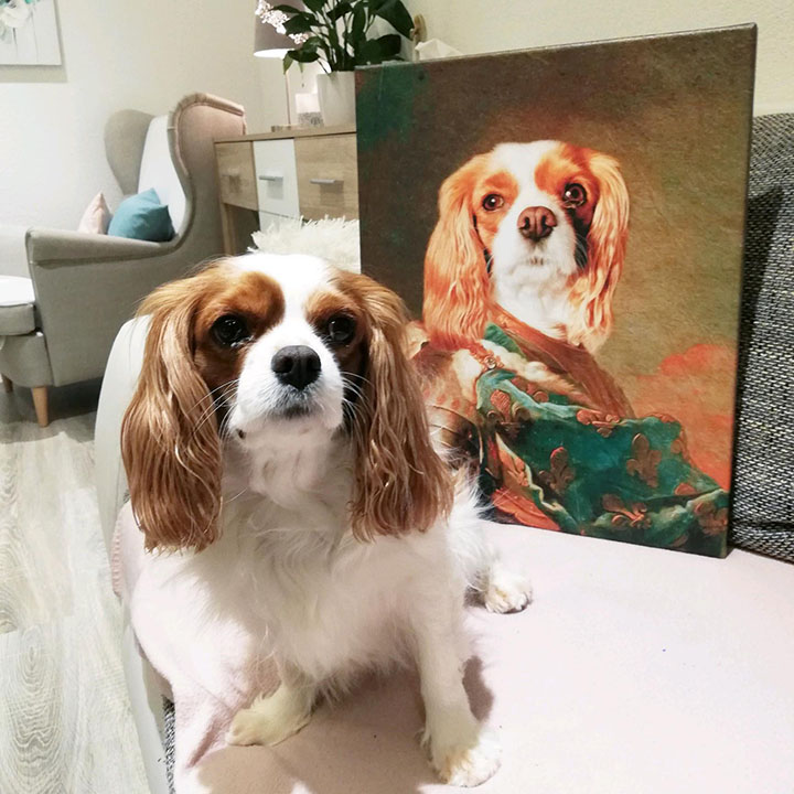 Φωτογραφία σε καμβά Pet Portrait General_1 - 40x50 cm