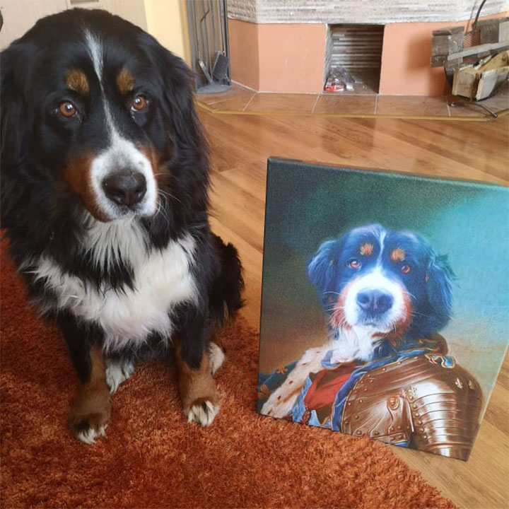  Φωτογραφία σε καμβά Pet Portrait General_2 - 50x60 cm