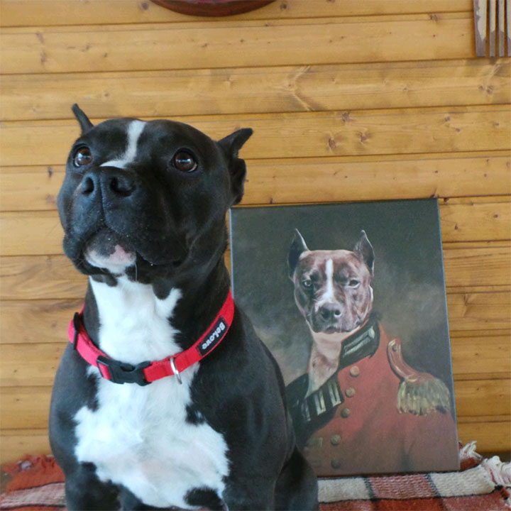 Φωτογραφία σε καμβά Pet Portrait General_4 - 75x90 cm