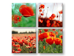 Πινακες σε καμβα Meadow of poppy poppies 4 τεμάχια κολάζ XOBKOL17E42