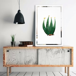 Πίνακας σε καθρέφτη Κάκτος Mirrora 69 - 60x40 cm