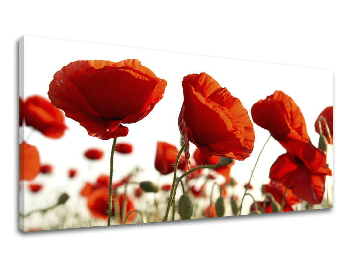 Πανόραμα ζωγραφικής τοίχου FLOWERS 60x120 cm