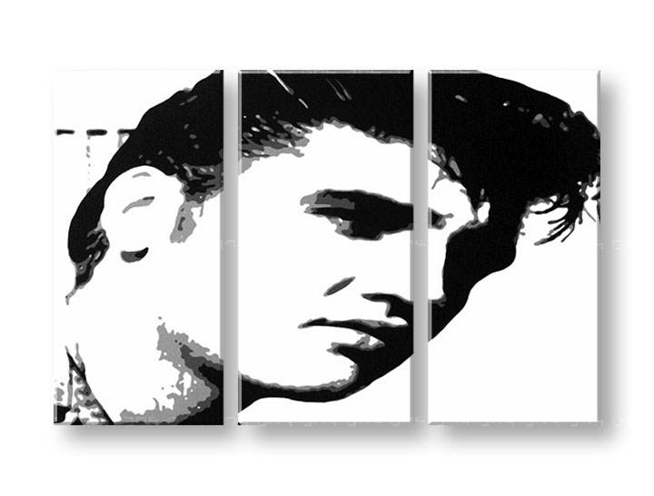 Χειροποιητοι πινακες σε καμβα POP Art ELVIS σε 3 κομματια 