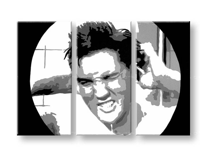 Χειροποιητοι πινακες σε καμβα POP Art ELVIS σε 3 κομματια 