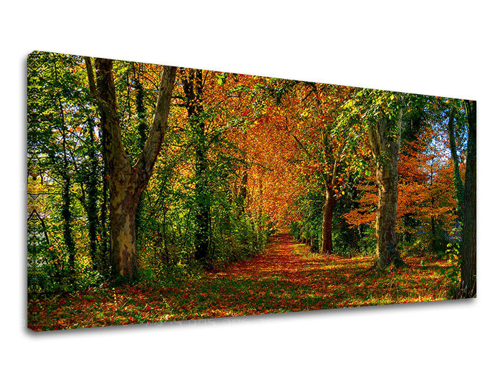 Τοιχογραφία PANORAMA TREES 30x60 cm