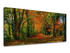 Τοιχογραφία PANORAMA TREES 60x120 cm
