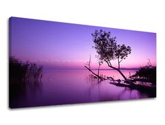 Τοιχογραφία PANORAMA WEST SLNKA 50x100 cm