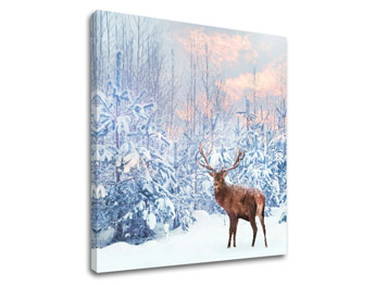 Ζωγραφική τοίχου ANIMALS_053-12