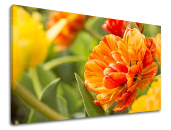 Ζωγραφική τοίχου FLOWERS KV001E11