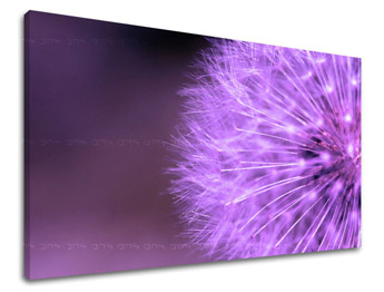 Ζωγραφική τοίχου FLOWERS KV004E11