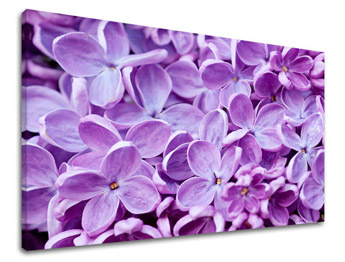 Ζωγραφική τοίχου FLOWERS KV046E11