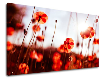 Ζωγραφική τοίχου FLOWERS MAKY XOBKV121E11