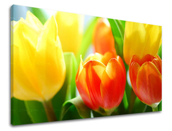 Ζωγραφική τοίχου FLOWERS TULIPANS XOBKV140E11
