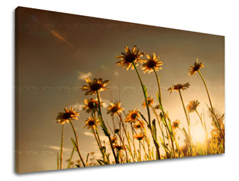 Ζωγραφική τοίχου FLOWERS XOBKV144E11