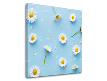Ζωγραφική τοίχου WHITE FLOWERS_163-12